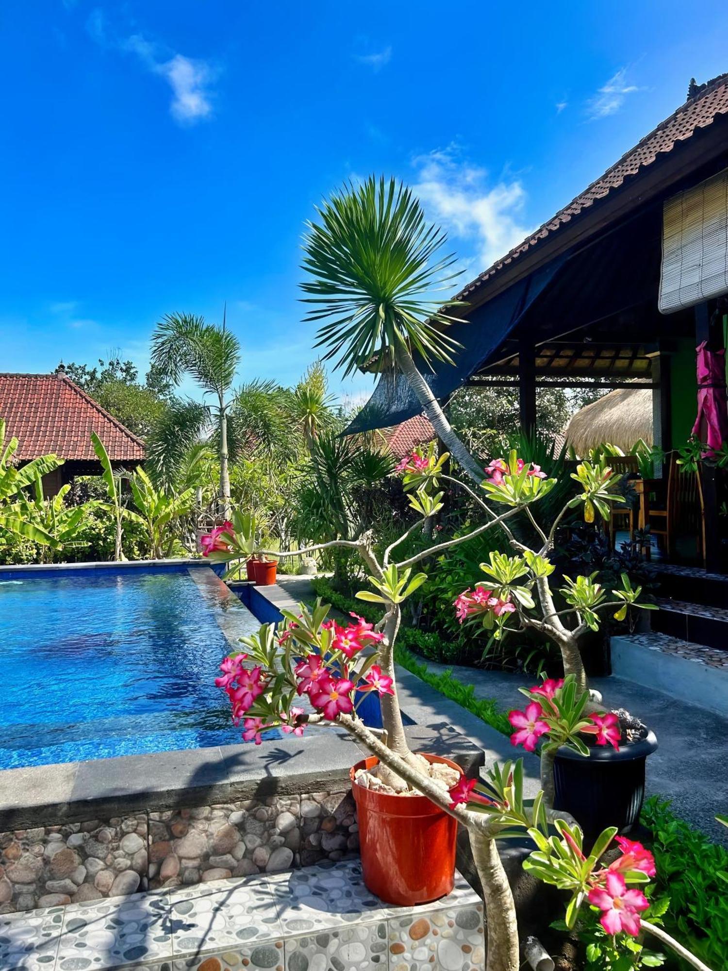 Bed and Breakfast Island Garden Huts Lembongan Exterior foto